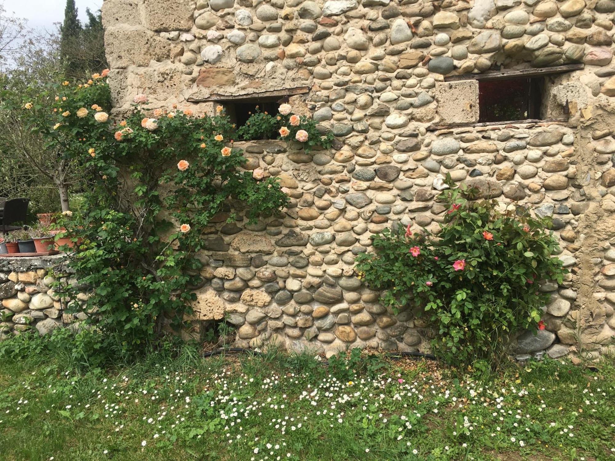 Vercors En Vert , Chambres D'Hotes De Charme Saint-Romans  المظهر الخارجي الصورة