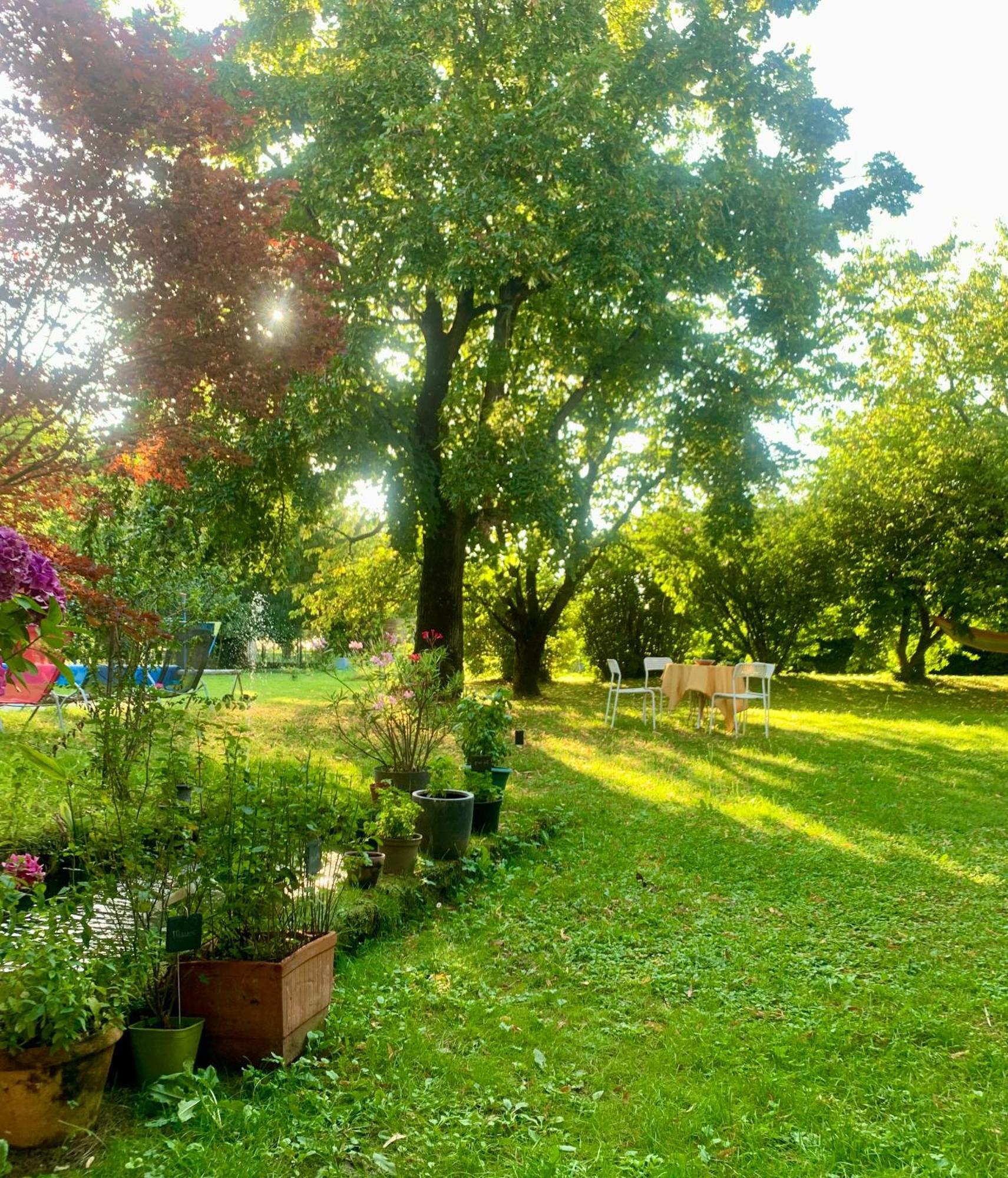 Vercors En Vert , Chambres D'Hotes De Charme Saint-Romans  المظهر الخارجي الصورة